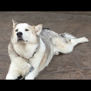 Meet your Posher, Janelle